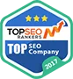 Named #1 Digital Agency in Many Countries! - 九游官网
